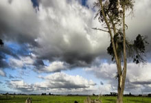 天涯论坛再曝肖战黑料，粉丝傻眼了！