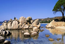 天涯论坛中的中年女网友：聊聊生活中的小确幸